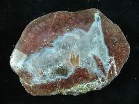 Polished Wileys Well Nodule
