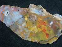 Rainbow Ridge Agate Slab