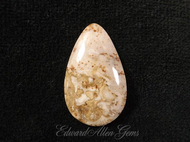 Palm root gemstone cabochon #S498 52x32x5 Fossilized Palm Root Agate Cabochon