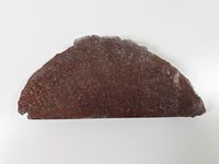 Dinosaur Bone Fossil Slab