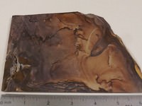 Blue Biggs Jasper Slab