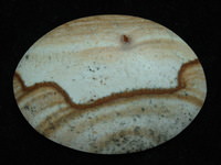 Picture Rock Rhyolite Cabochon