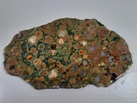 RAINFOREST JASPER