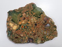 RAINFOREST JASPER