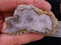 Laguna Agate