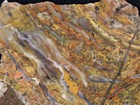 Rainbow Ledge Jasp-Agate