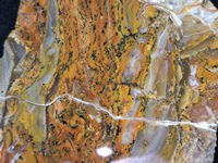 Rainbow Ledge Jasp-Agate