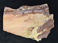Willow Creek Jasper Slab