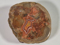 TeePee Canyon Polished Stone