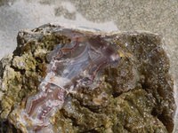 Laguna Agate Rough