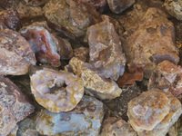 Mexican Agate Rough