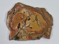 Dead Camel Porcelain Jasper Slab