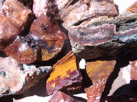 Mixed Rough